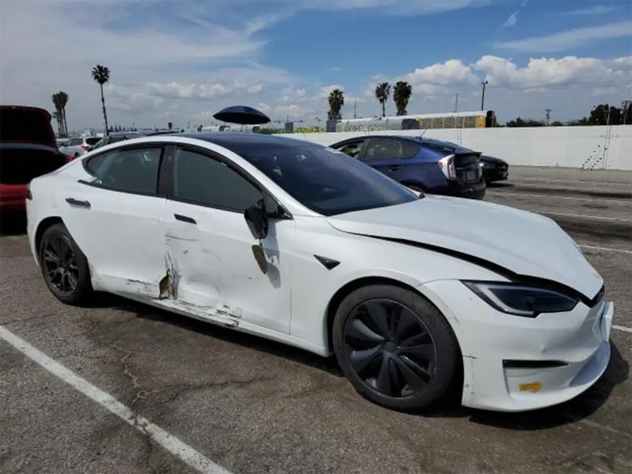 white tesla