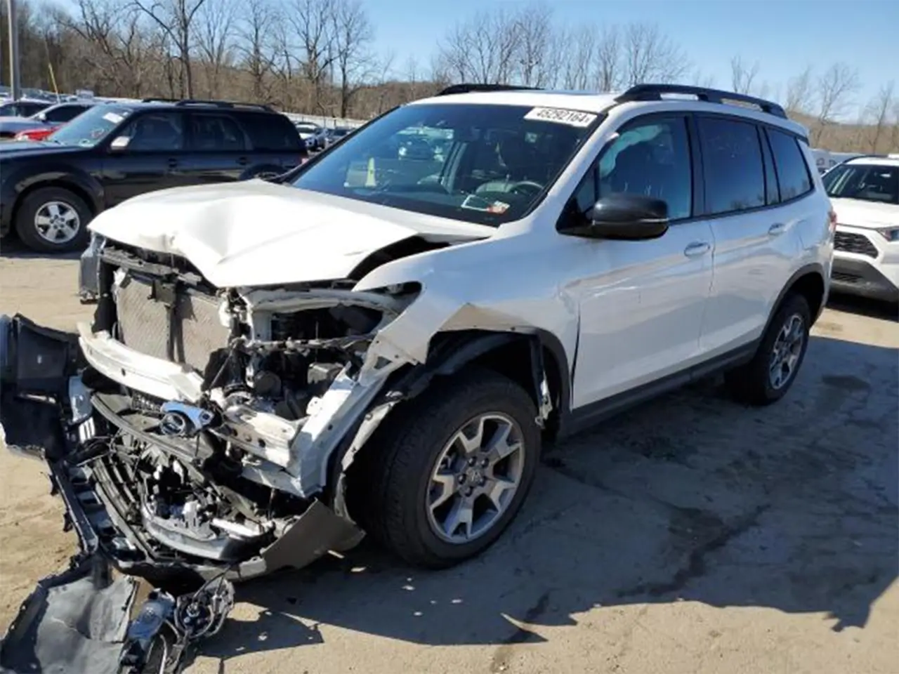 white honda passport